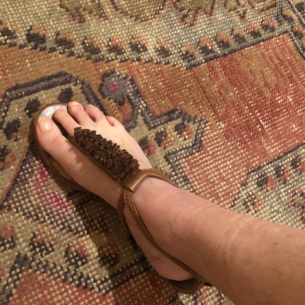 Frye Thong sandal Laurel Flower 7 brown leather